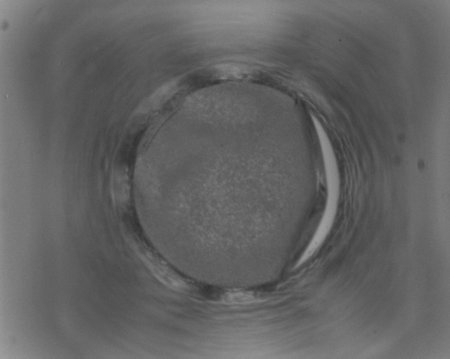 X0000074290413200609081857