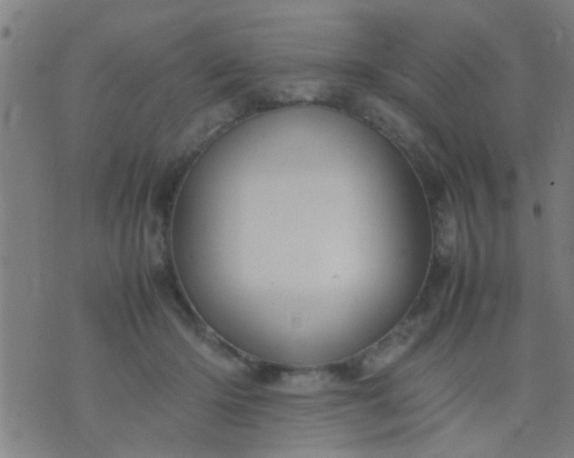 X0000074290414200609081857