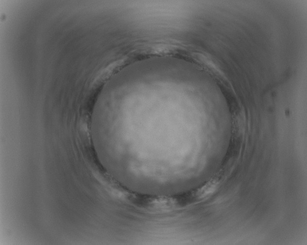 X0000074290415200609081857