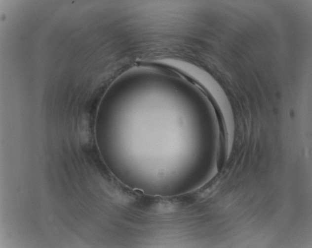 X0000074290416200609081857