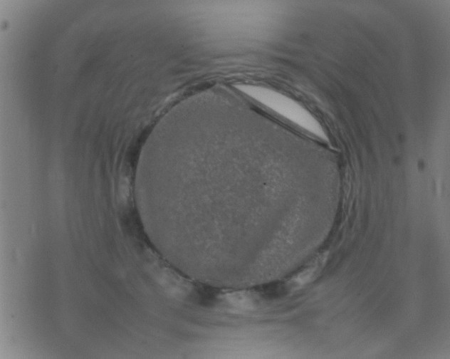 X0000074290417200609081857