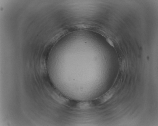 X0000074290418200609081857