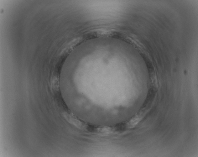 X0000074290419200609081857