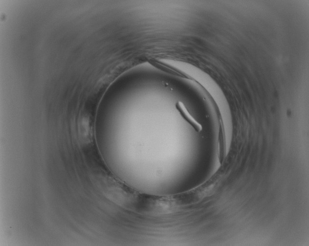 X0000074290420200609081857