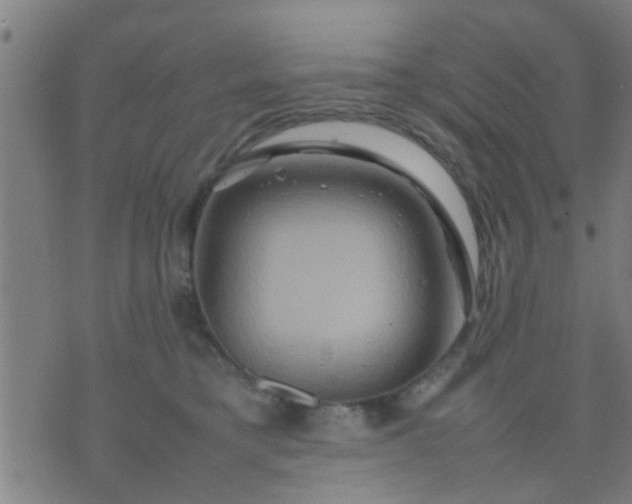 X0000074290421200609081857