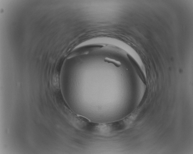 X0000074290425200609081857