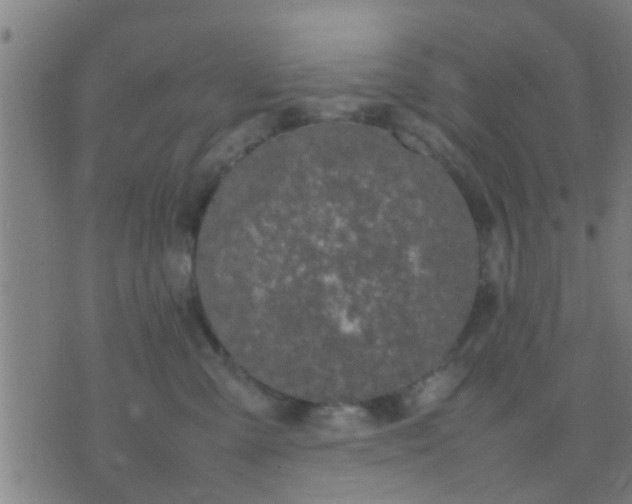 X0000074290427200609081856