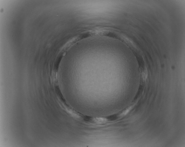 X0000074290429200609081856