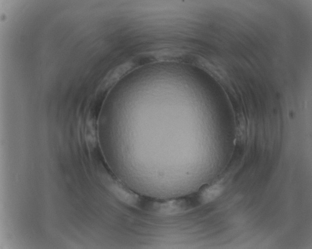 X0000074290430200609081856