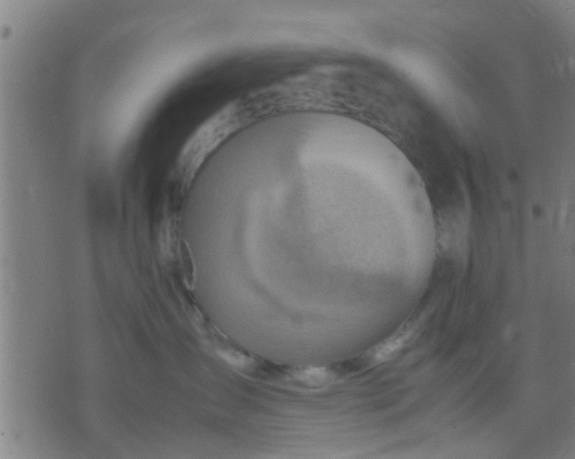 X0000074290431200609081856