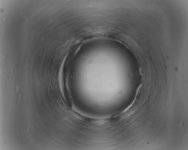 X0000074290432200609081856