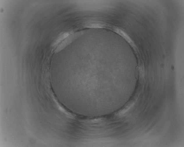 X0000074290433200609081856