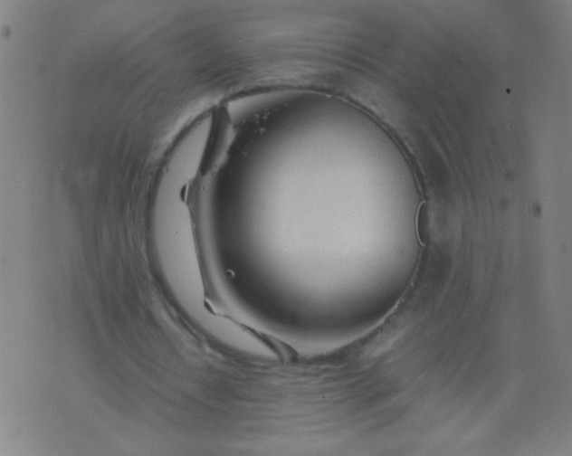 X0000074290434200609081856