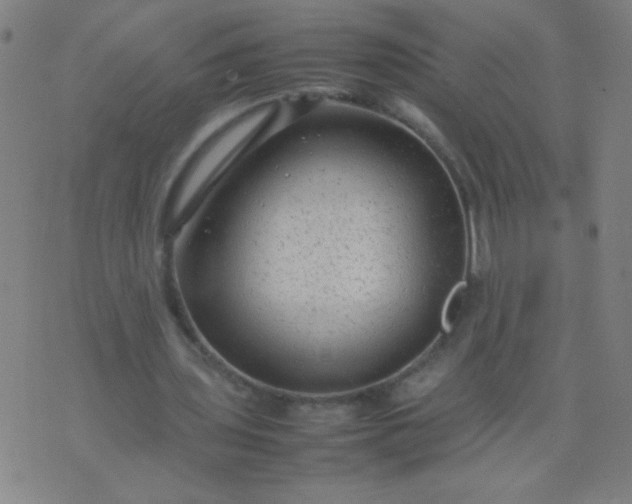 X0000074290435200609081856