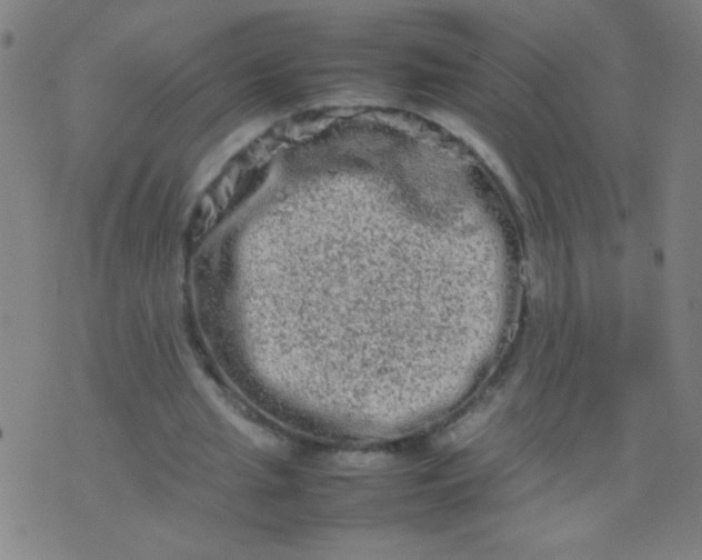 X0000074290437200609081856