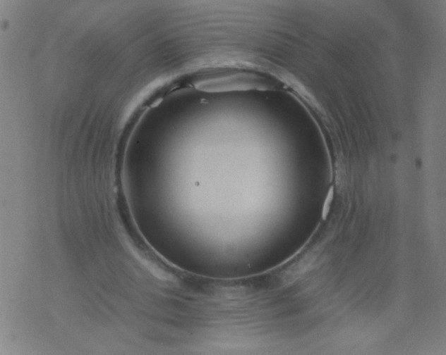 X0000074290438200609081856