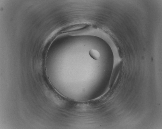 X0000074290440200609081856