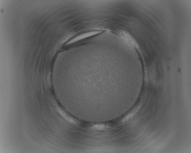 X0000074290441200609081856