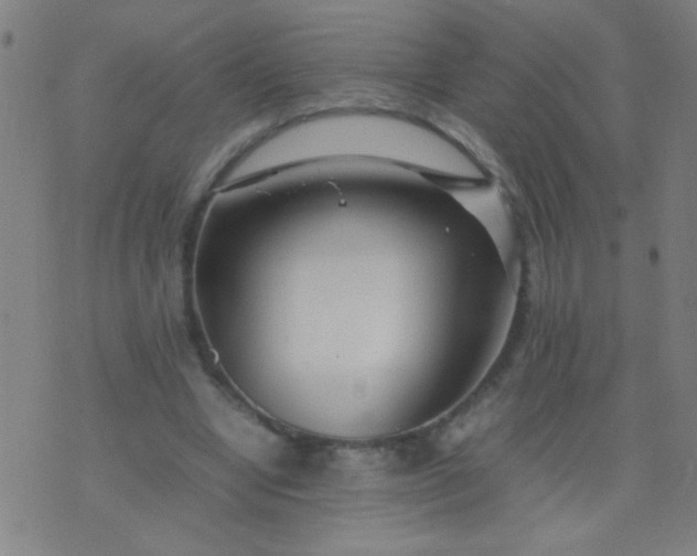 X0000074290442200609081856