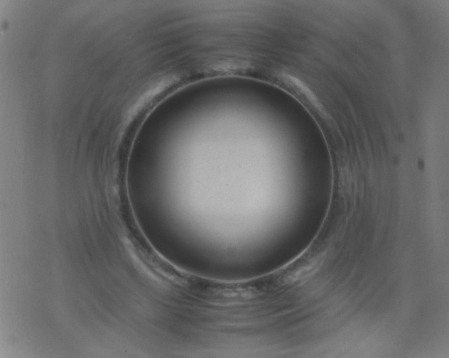 X0000074290443200609081856