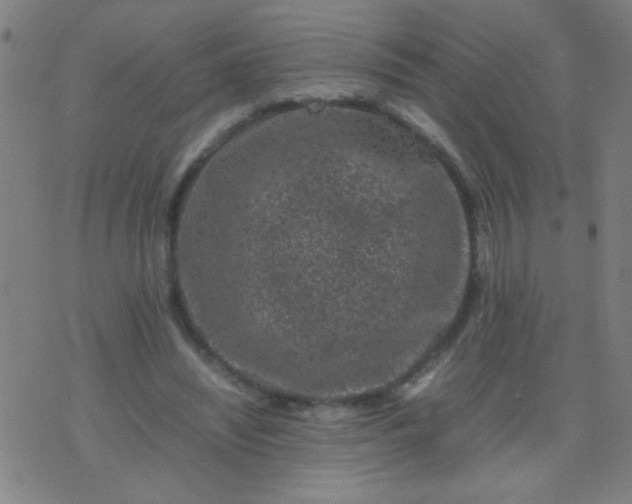 X0000074290444200609081856