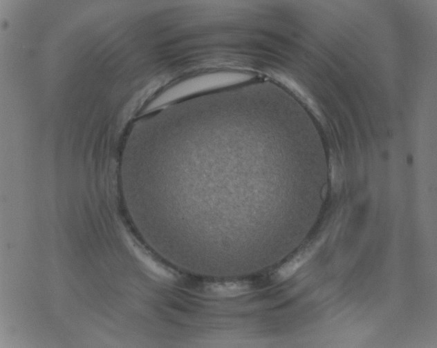 X0000074290445200609081856