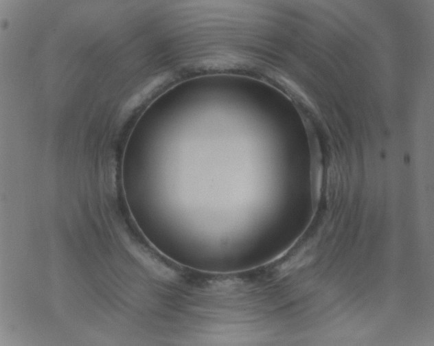 X0000074290446200609081856