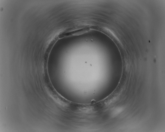 X0000074290447200609081856