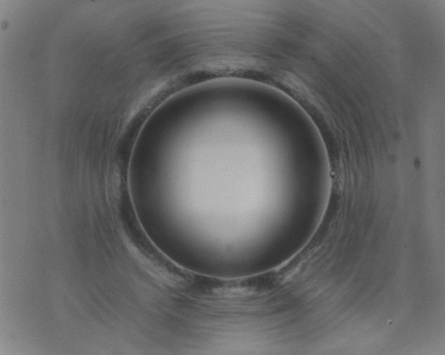 X0000074290448200609081856