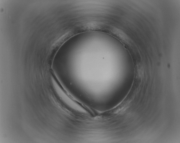 X0000074290450200609081856