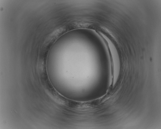 X0000074290451200609081856