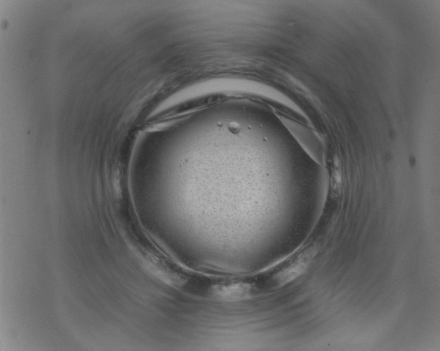 X0000074290452200609081856