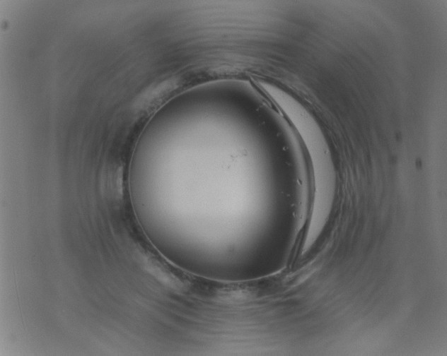 X0000074290454200609081856