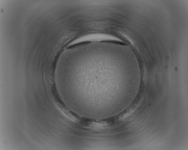 X0000074290455200609081856