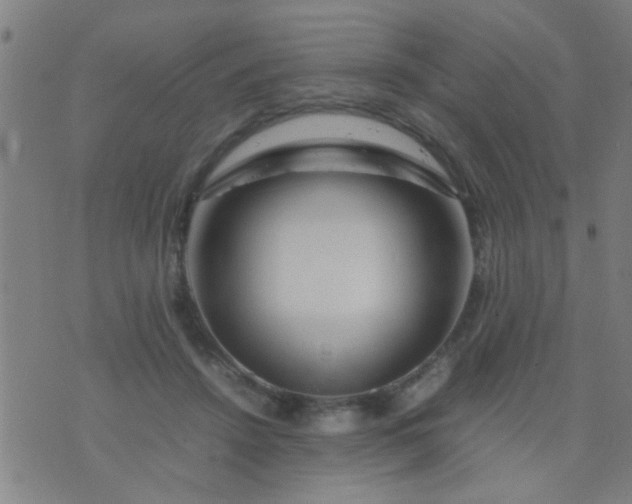 X0000074290456200609081856