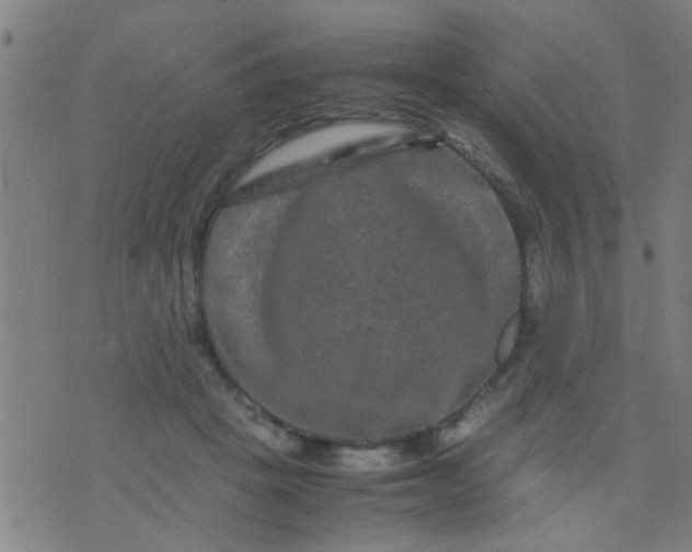 X0000074290457200609081856