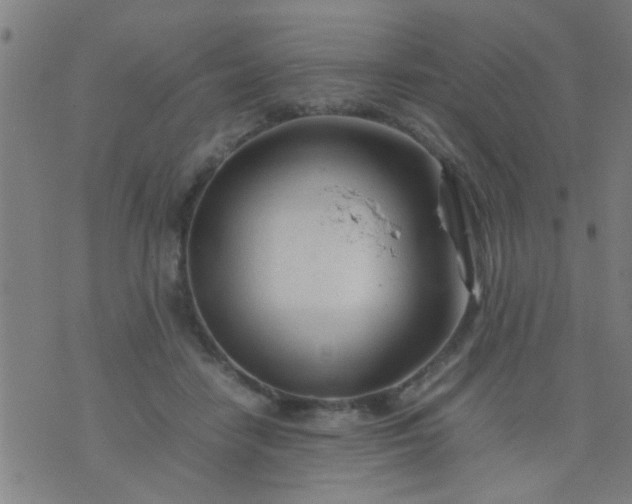 X0000074290458200609081856