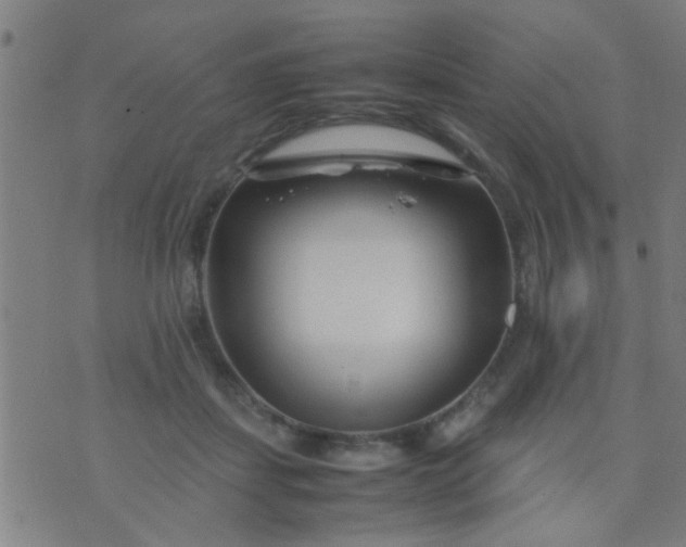 X0000074290459200609081856