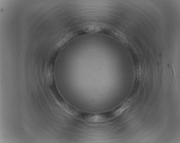 X0000074290460200609081856