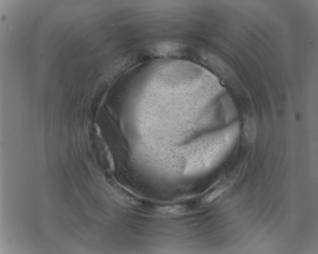 X0000074290461200609081856