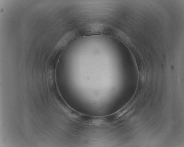 X0000074290462200609081856