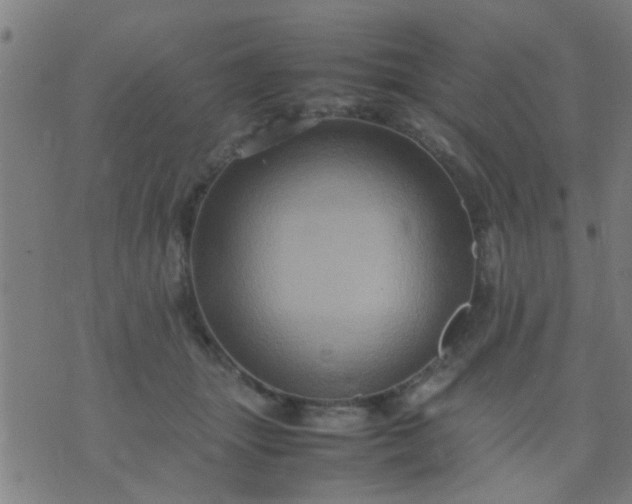 X0000074290463200609081856