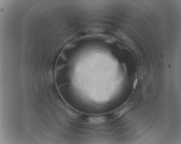 X0000074290465200609081856