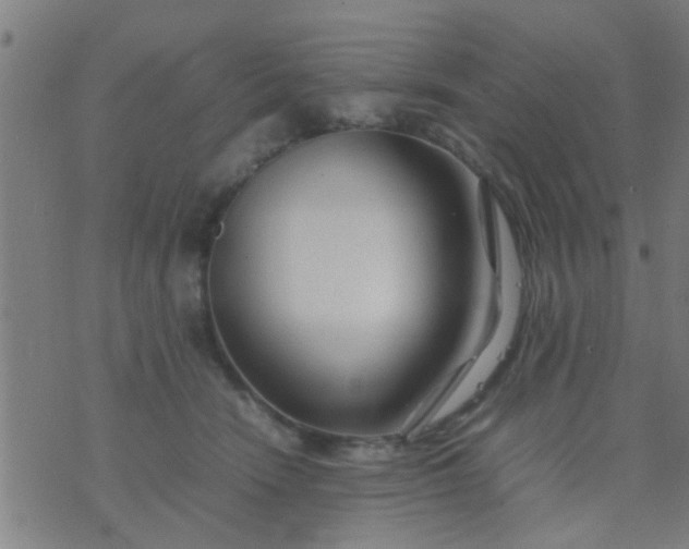 X0000074290466200609081856