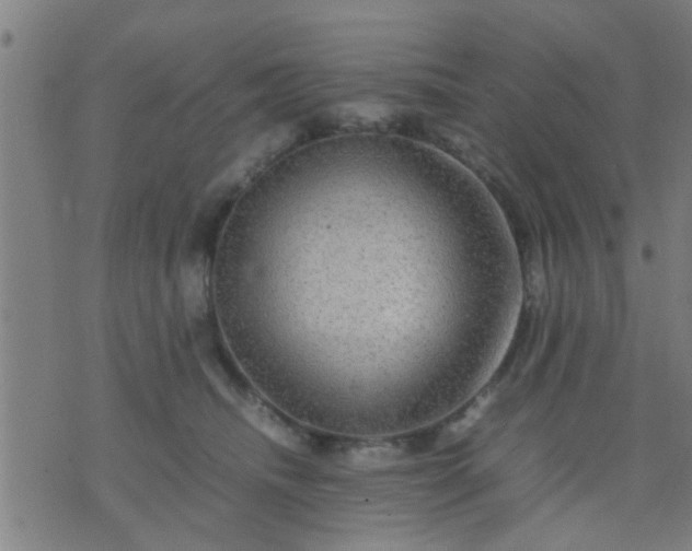 X0000074290468200609081856