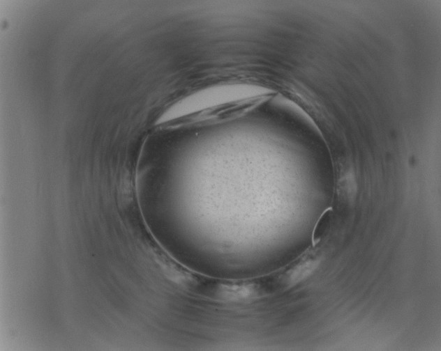 X0000074290469200609081856