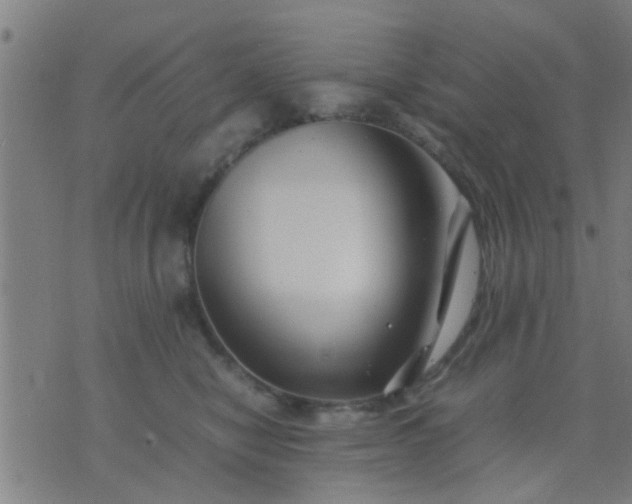 X0000074290470200609081856