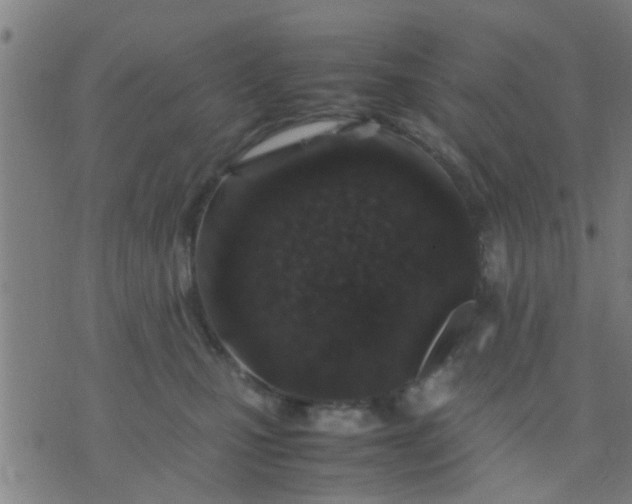 X0000074290471200609081856