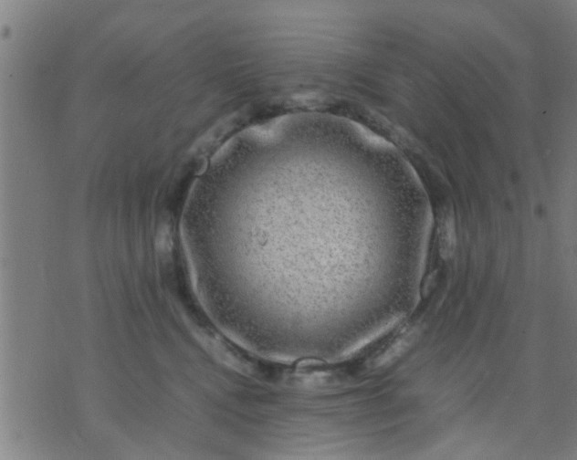 X0000074290472200609081856