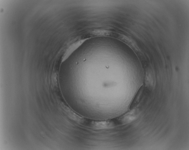 X0000074290473200609081856